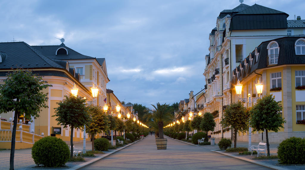 Dr. Adler Spa & Kurhotel Франтишкови-Лазне Экстерьер фото